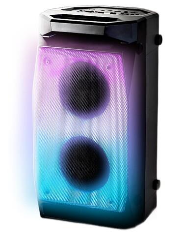 Портативная аудиосистема Урал Молния 900, черный