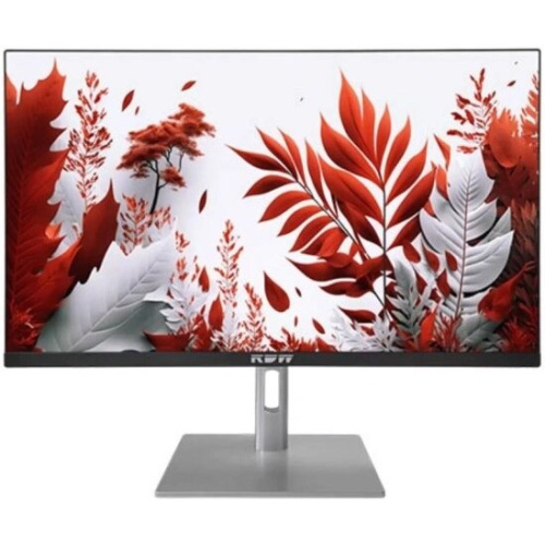 Монитор RDW Computers RDW2407 (2407K/F14В3120V2A1B) черный/серебристый