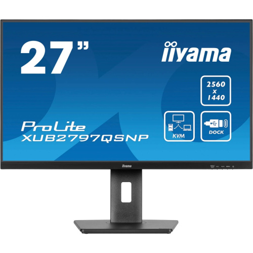 Монитор Iiyama ProLite XUB2797QSNP-B1 черный