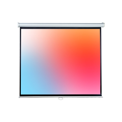 Проекционный экран Lumien Eco Picture (LEP-100113) Matte White