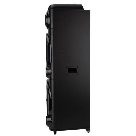 Колонка ELTRONIC 30-56 Crazy Box 2500