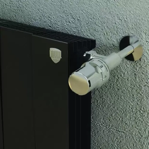 Биметаллический радиатор отопления  Royal Thermo Pianoforte 500 4 Секции Noir Sable