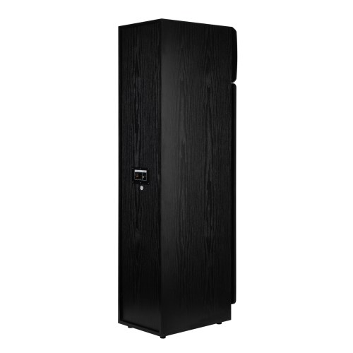 Акустическая система ELTRONIC 30-58 Home sound черный