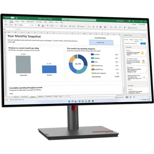 Монитор Lenovo ThinkVision P27q-30 (63A2GAT1UK) черный