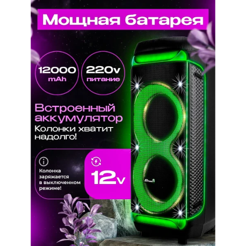 Портативная акустика ELTRONIC 30-30 Dance Box 1300