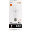 Лампочка Gauss 73219 Elementary A67 30W