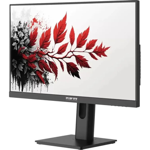 Монитор RDW Computers RDW2701K (2701K/F00B3120V2A1) черный
