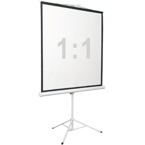 Экран 200x200см Digis Kontur-D DSKD-1106 1:1 напольный рулонный