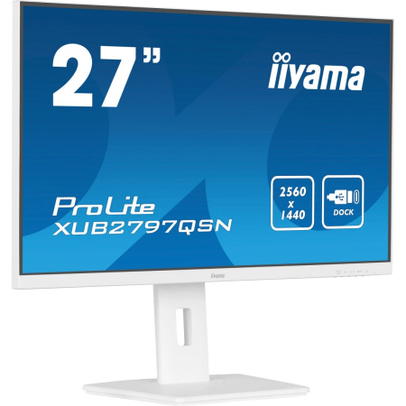 Монитор Iiyama ProLite XUB2797QSN-W2 белый