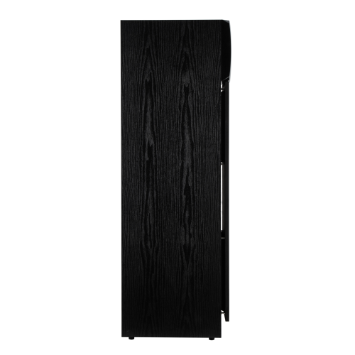 Акустическая система ELTRONIC 30-58 Home sound черный